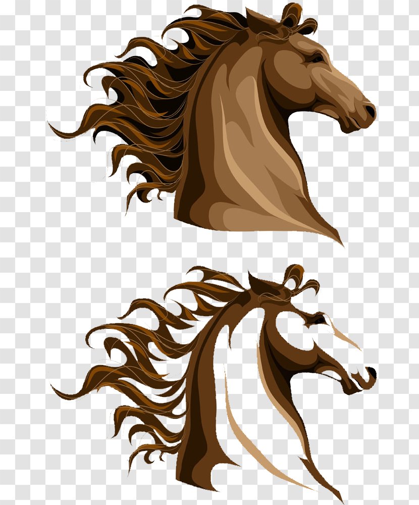 Horse Mane Illustration - Neck - Brown Head Transparent PNG