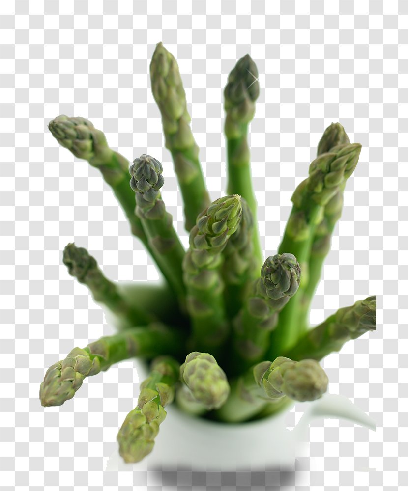 Meat - Food - More Plants Bud Transparent PNG