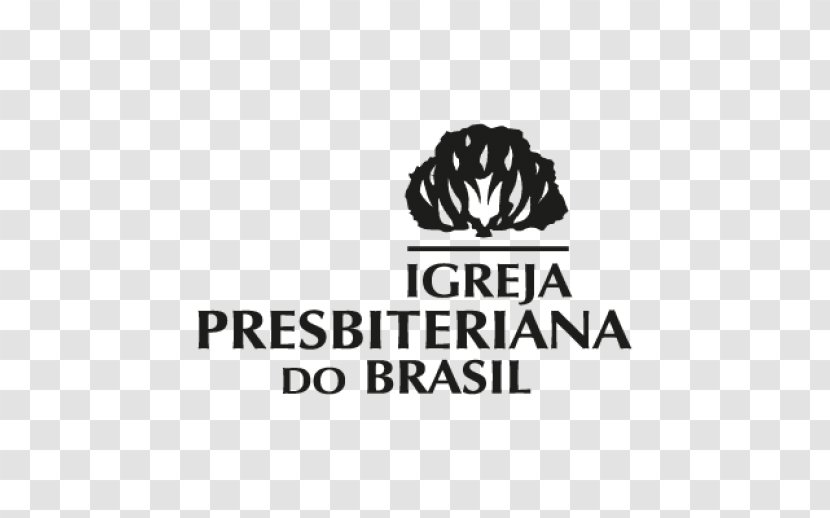 Presbyterian Church Of Brazil Christian Pastor Presbyterianism Seminário Presbiteriano Do Norte - Igreja Transparent PNG