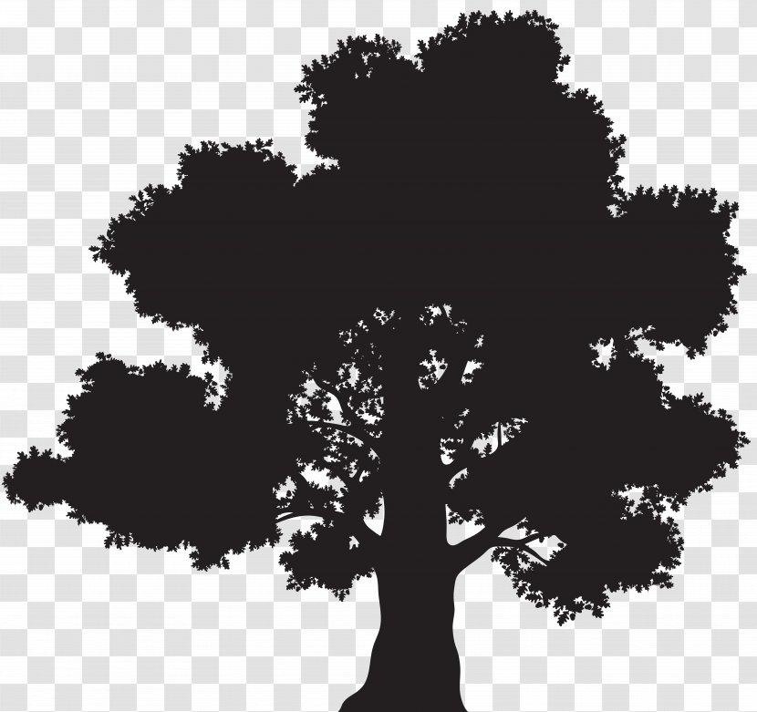 Oak Silhouette Tree Clip Art Transparent PNG