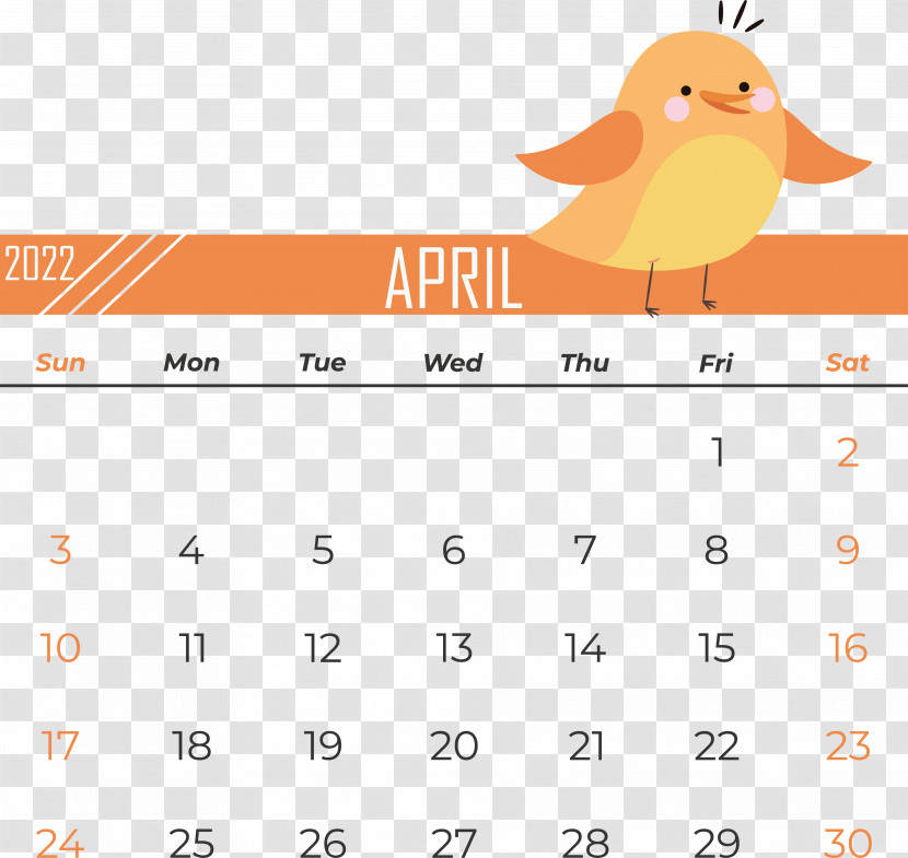 Birds Cartoon Line Beak Calendar Transparent PNG