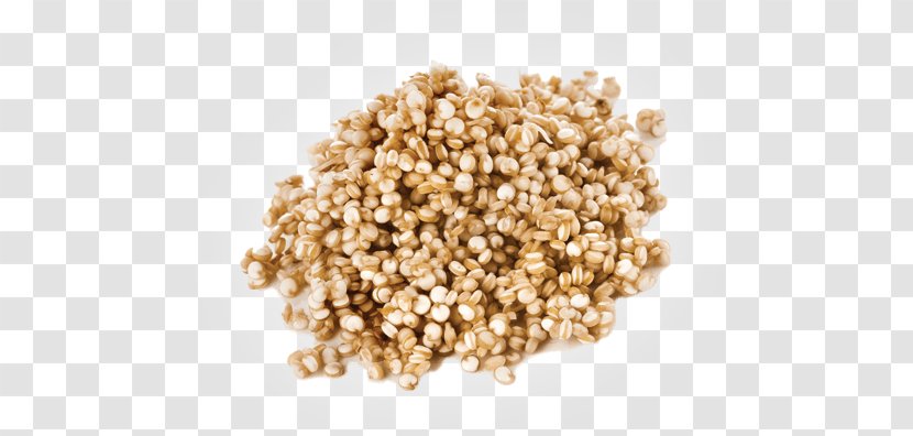 Rice Cartoon - Teff - Food Grain Plant Transparent PNG