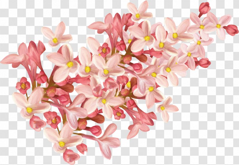 Flower Pink Clip Art - Garden Roses - Vanilla Transparent PNG