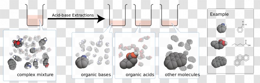 Acid–base Reaction Acid-base Extraction - Tree - Acid Base Transparent PNG