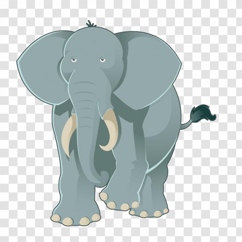 Cartoon Illustration - Elephant Transparent PNG