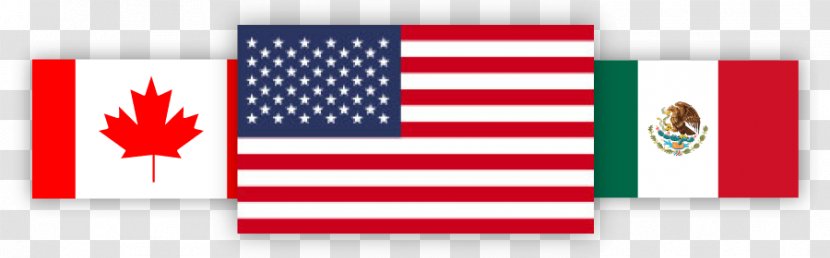 Flag Of The United States Turkey Ireland - Education Week Transparent PNG