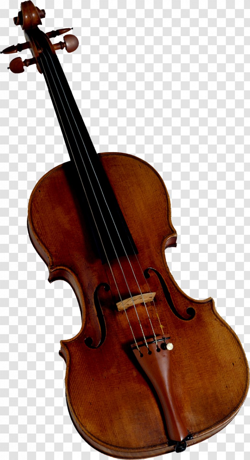 Violin Clip Art Image Fiddle - Viol - Norway Ecstatic Transparent PNG