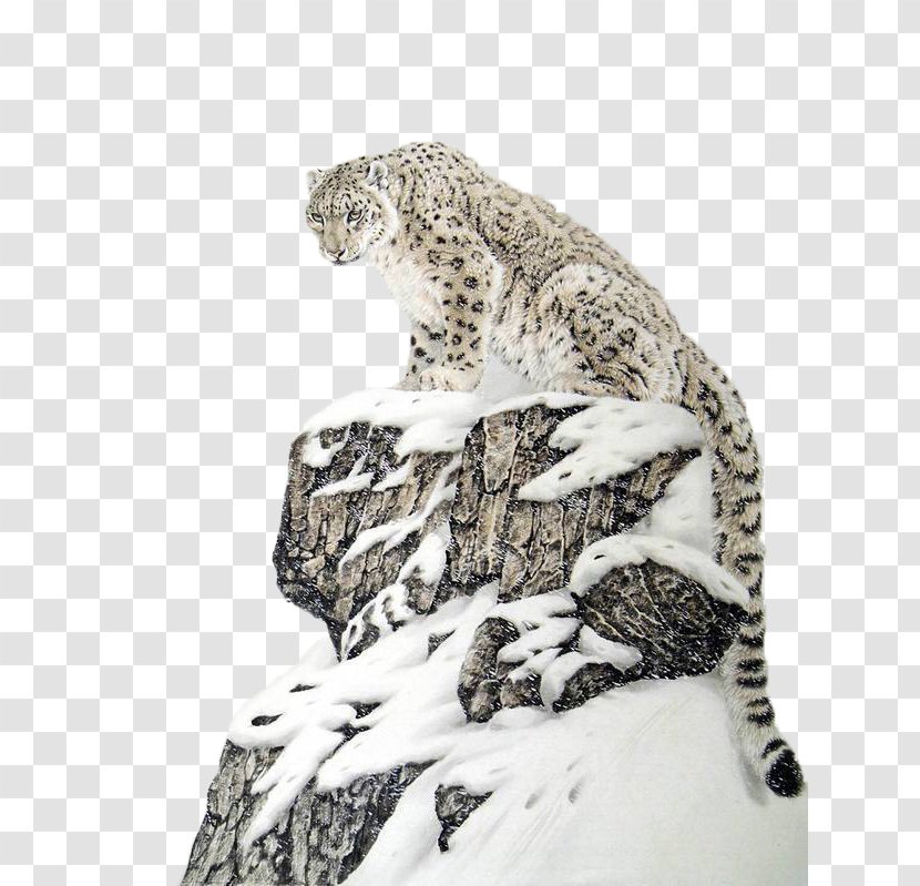 The Snow Leopard Tiger Lion Felidae - Carnivoran - Alpine Snowflakes On Paintings Transparent PNG