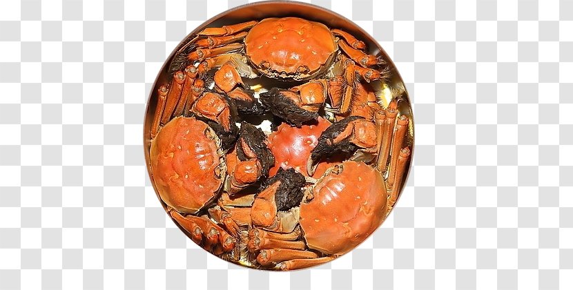 Chinese Mitten Crab Gaochun District Yangcheng Lake Gucheng - Large - Steamed Crabs Transparent PNG