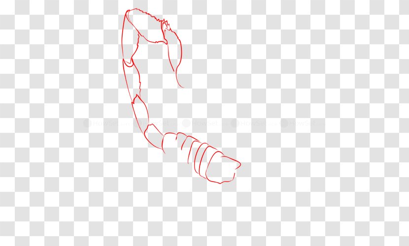 Drawing Finger Scorpion Clip Art - White - SCORPION CARTOON Transparent PNG