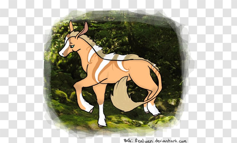 Foal Mustang Stallion Colt Mare - Horse Like Mammal Transparent PNG