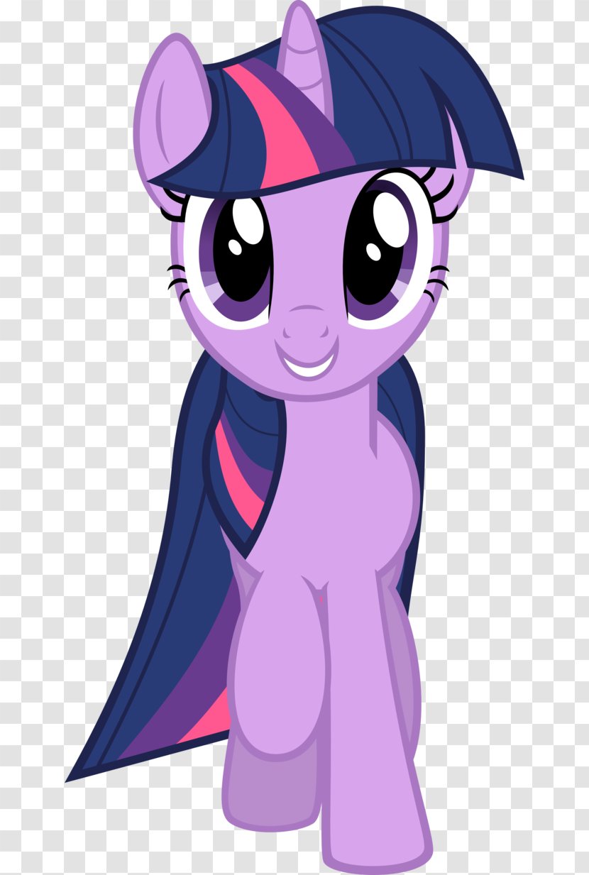 Twilight Sparkle Rarity Spike Rainbow Dash Applejack - Frame Transparent PNG