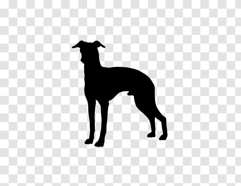 Italian Greyhound Whippet Spanish Dog Breed Transparent PNG