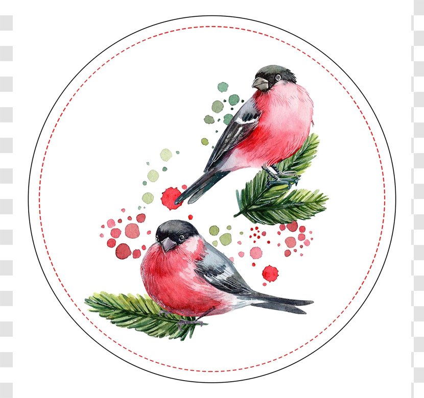 Christmas 2019 - Decoupage - Holly Songbird Transparent PNG