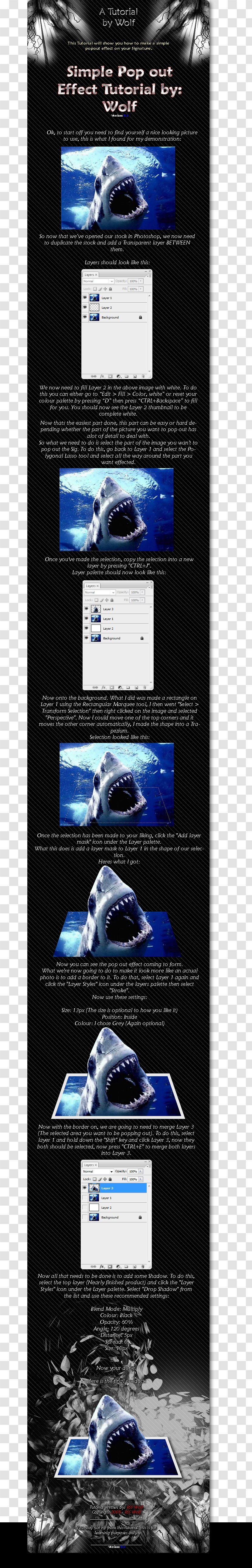 Great White Shark Desktop Wallpaper Screenshot Pattern - Text Transparent PNG