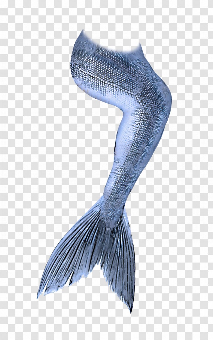 Fish Wing Blue Whale Fictional Character Tail - Metal Transparent PNG