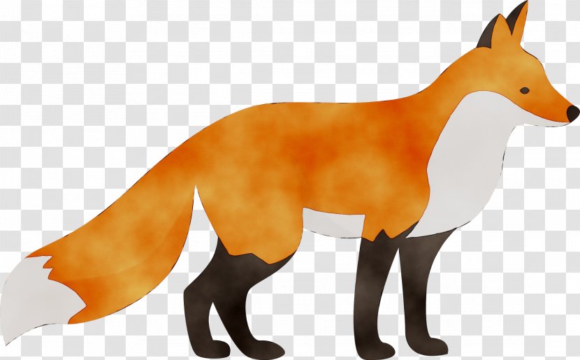 Red Fox Vector Graphics Clip Art - Tail - Vertebrate Transparent PNG