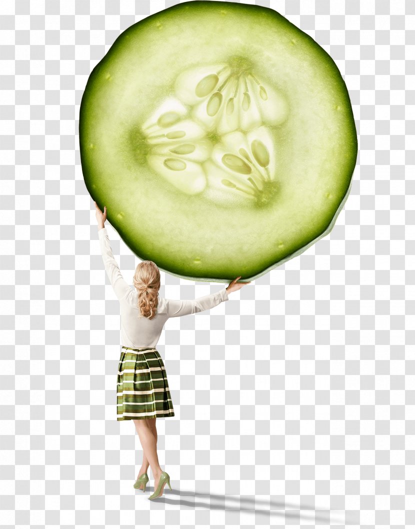 Cucumber Vegetable Cucurbitaceae Melon - Cucumis Transparent PNG