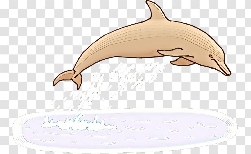 Dolphin Cartoon - Beak - Roughtoothed Fin Transparent PNG