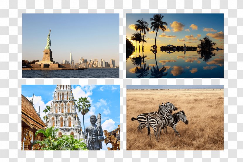 Tourism Tourist Attraction Desktop Wallpaper United States Vacation - Landscape Transparent PNG