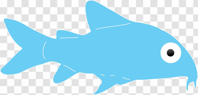 Requiem Sharks Marine Biology Dolphin Clip Art - Organism - Shark Transparent PNG