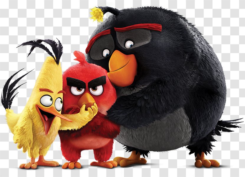 Angry Birds POP! 4K Resolution 0 Desktop Wallpaper Trailer - Cinema - Film Transparent PNG