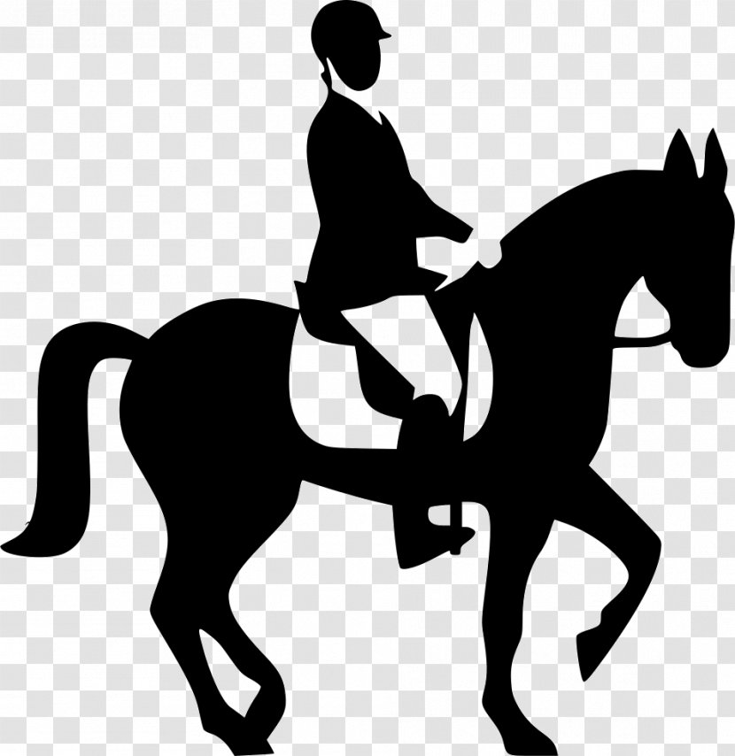 Kentucky Horse Park Equestrian Gallop Racing - Recreation - Race Transparent PNG