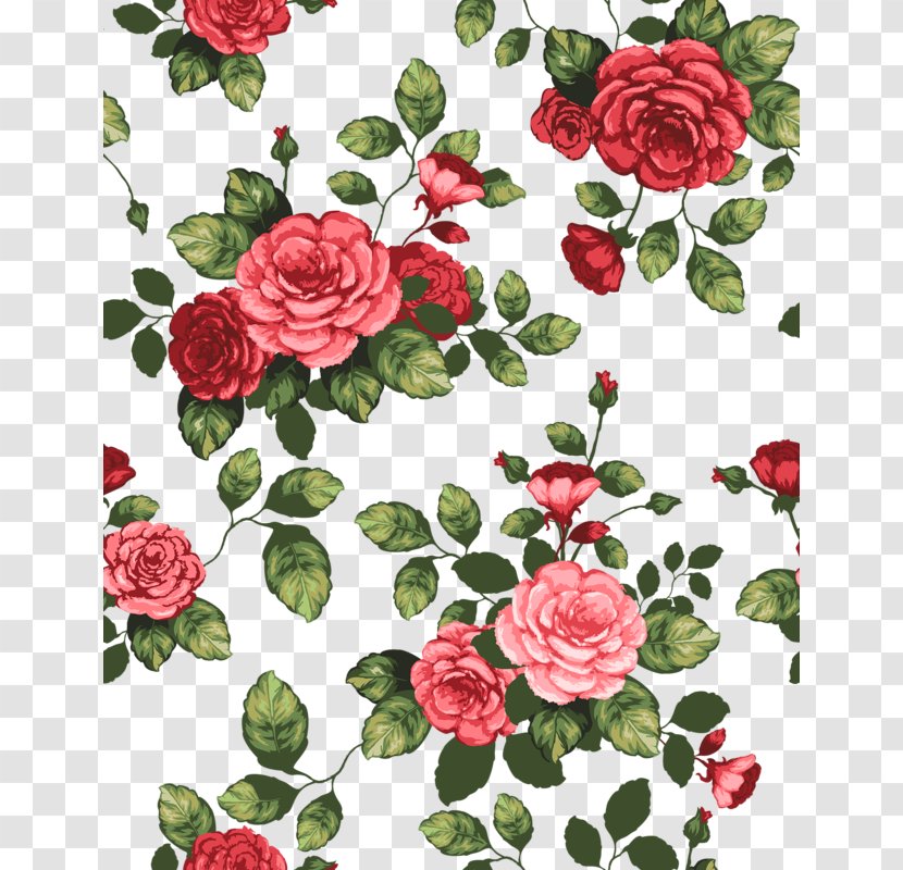 Garden Roses Cabbage Rose Floribunda Flower Drawing - Flowering Plant Transparent PNG