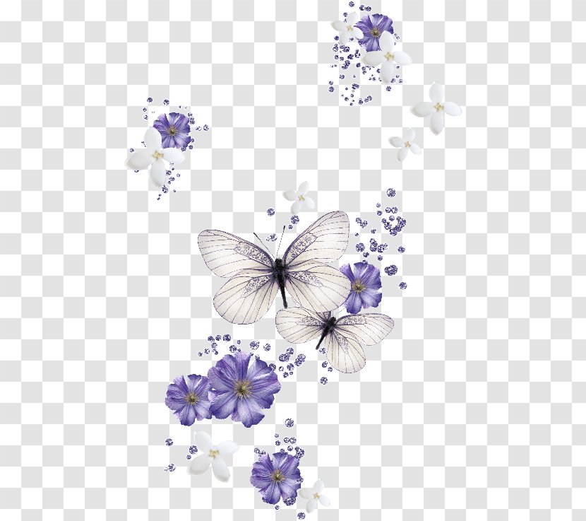 Butterfly Desktop Wallpaper Color Clip Art - Butterflies And Moths Transparent PNG