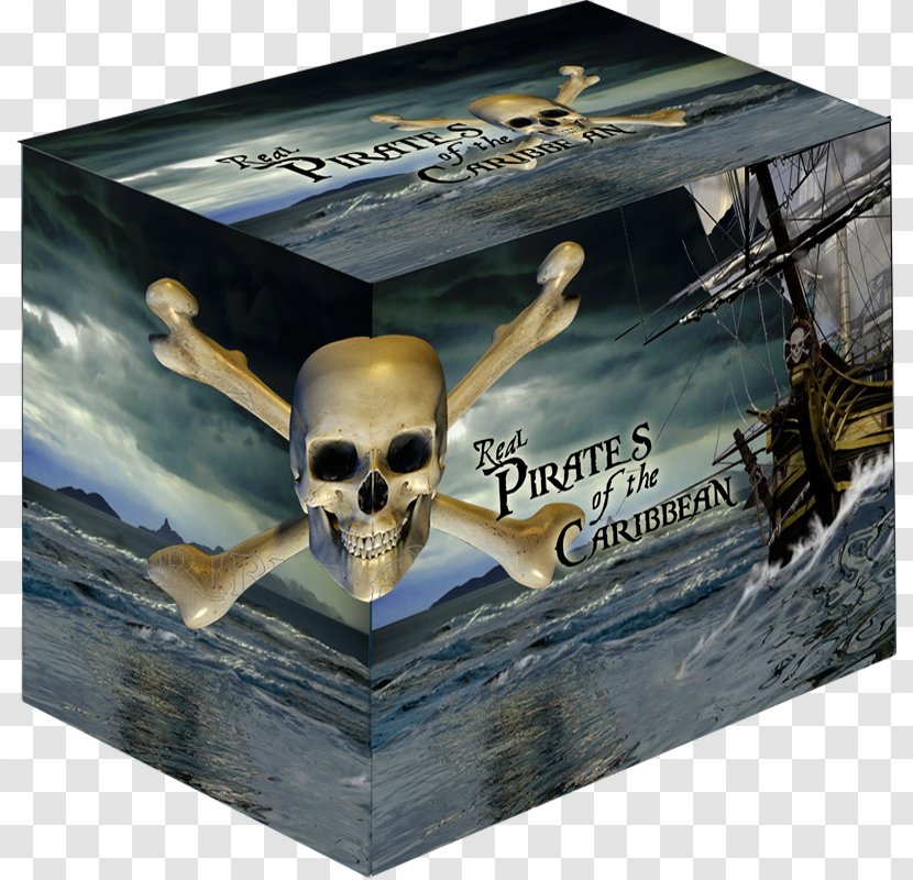 Pirates Of The Caribbean Silver Coin Piracy Transparent PNG