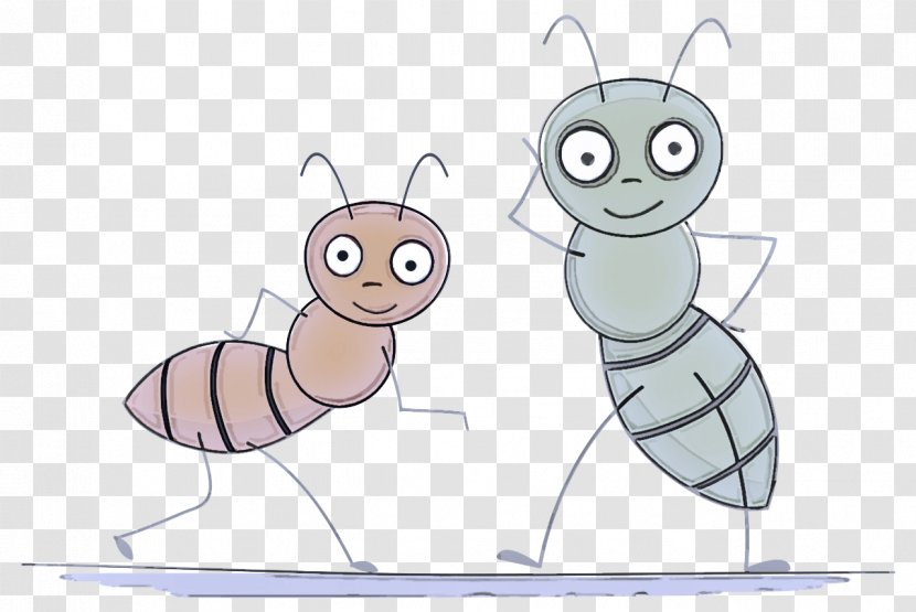 Cartoon Insect Animation Animated Clip Art - Membranewinged Drawing Transparent PNG