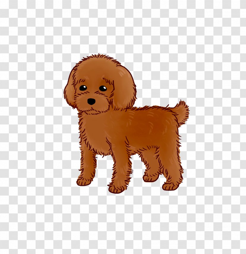 Goldendoodle Puppy Dog Breed Water Companion - Snout Transparent PNG