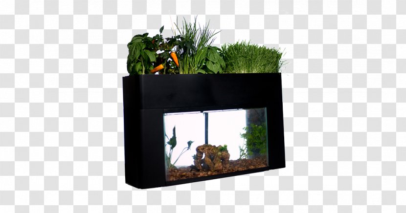 Gardening Aquaponics Aquarium Grow Light - Picture Frame - Fish Tank Transparent PNG
