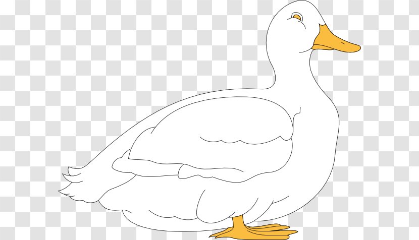 Duck Goose Cygnini Chicken Clip Art - Tail - White Cliparts Transparent PNG