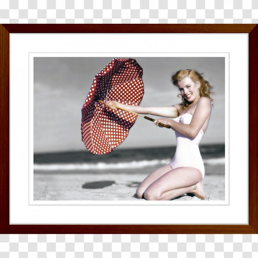 Andre De Dienes, Marilyn Death Of Monroe Actor Desktop Wallpaper - Model Transparent PNG