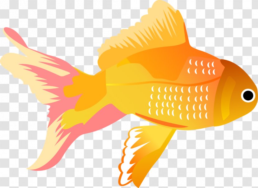 Vector Graphics Koi Fish Clip Art Illustration - Seafood - Free Border Transparent PNG