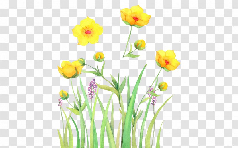 Watercolor: Flowers Watercolor Painting - Color - Painted Grass Transparent PNG