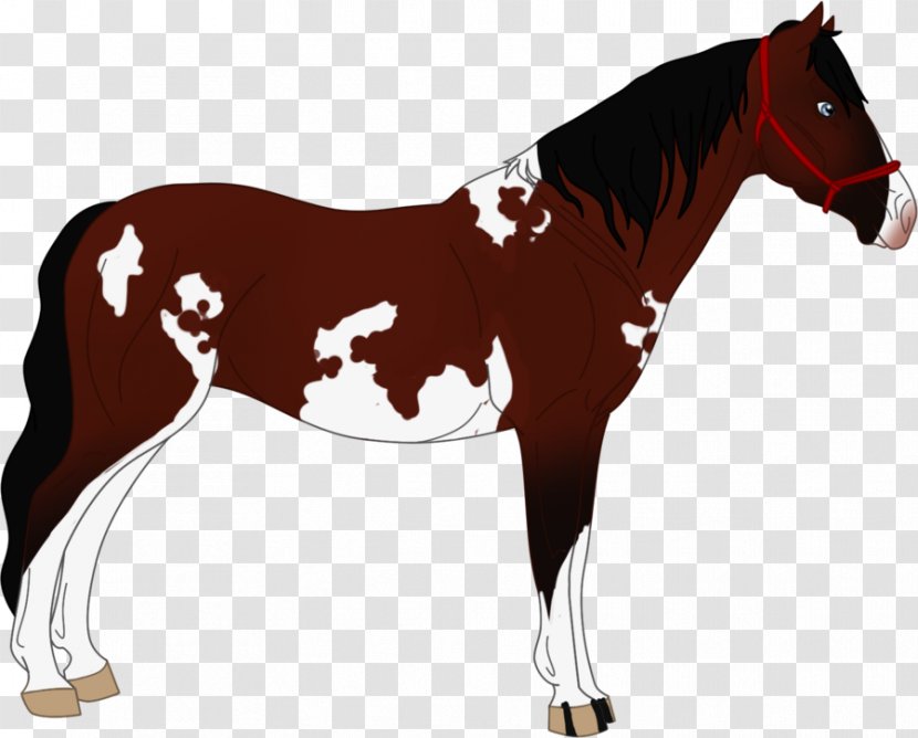 Foal Stallion Mare Mustang Rein Transparent PNG