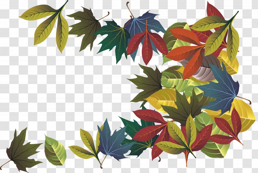 Autumn Leaf Deciduous - Gratis - Colorful Leaves Transparent PNG