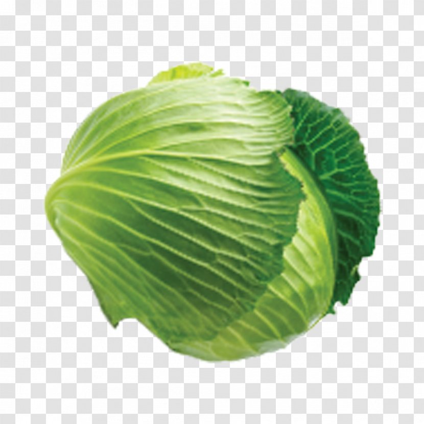 Savoy Cabbage Cauliflower Leaf Vegetable - Green Transparent PNG