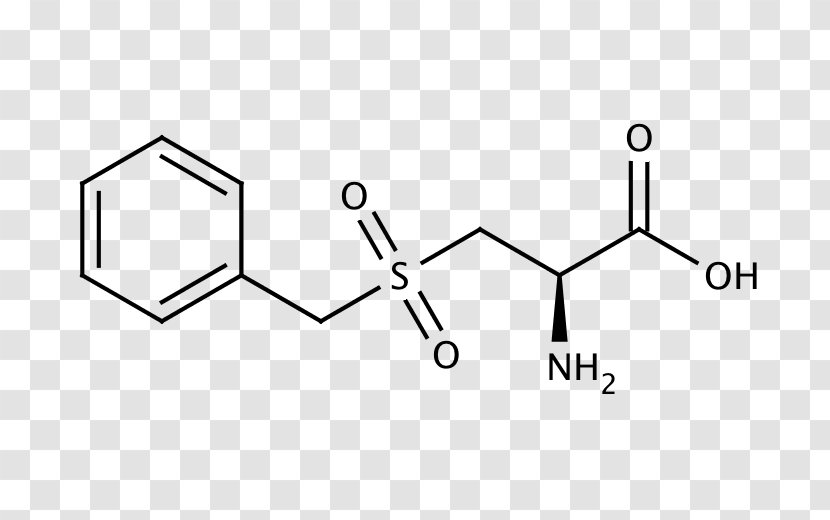 Leucine Amino Acid Arginine Hippuric - Monochrome - Symbol Transparent PNG
