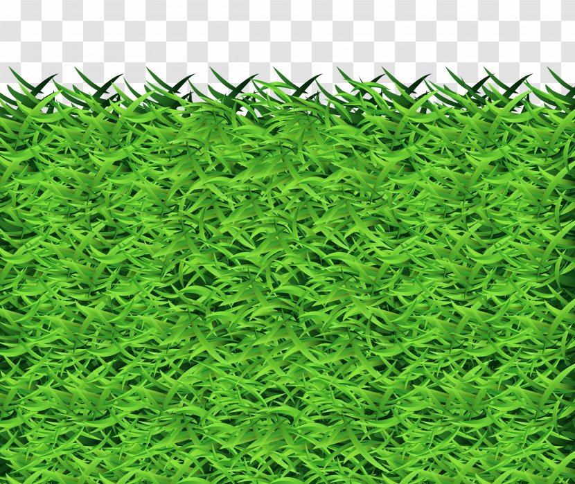 Grass Clipart - Art - Evergreen Transparent PNG