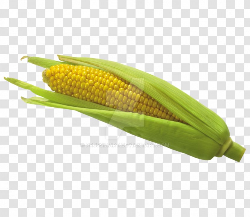 Corn On The Cob Flint Sweet Corncob Baby - Plant - Popcorn Transparent PNG