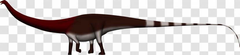 Dinheirosaurus Supersaurus Tyrannosaurus Lusotitan Spinosaurus - Beak - Barosaurus Transparent PNG