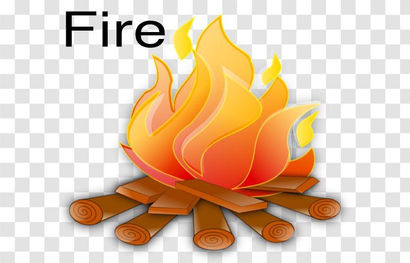 Fire Flame Free Content Clip Art - Flowering Plant - Cliparts Transparent PNG