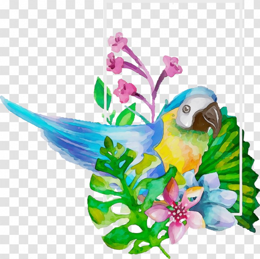 Hummingbird - Watercolor - Plant Transparent PNG