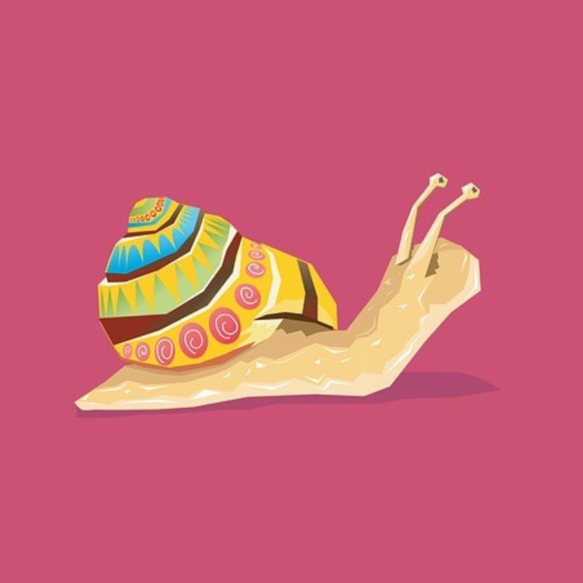 Snail Gastropods Photography - Color - Snails Transparent PNG
