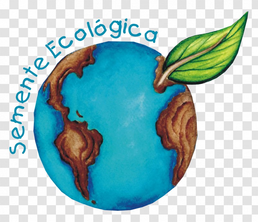 Ecology Environmental Education Organism Seed Natural Environment - Symbiosis Transparent PNG