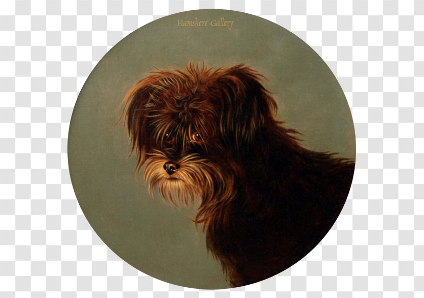 Yorkshire Terrier Affenpinscher Dog Breed Pointer Bichon Frise - Oil Painting - Puppy Transparent PNG