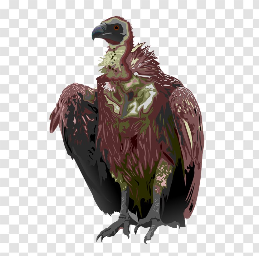 Turkey Vulture Bird Black Clip Art - The Jungle Book Transparent PNG